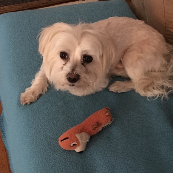 Meet your Posher, Amanda - Picture 5 of 7